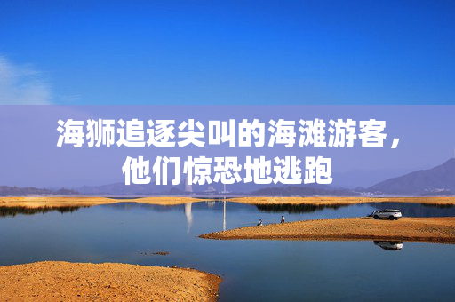 海狮追逐尖叫的海滩游客，他们惊恐地逃跑