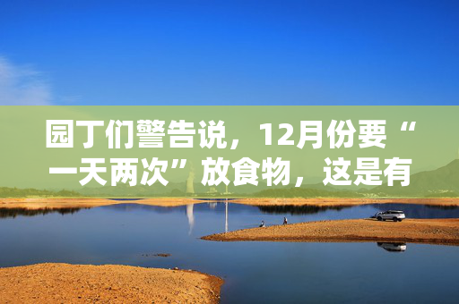 园丁们警告说，12月份要“一天两次”放食物，这是有重要原因的