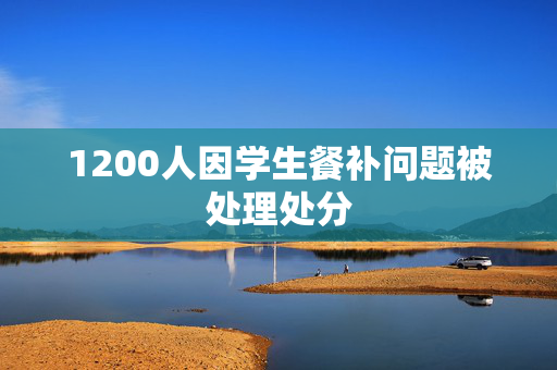 1200人因学生餐补问题被处理处分